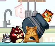 Cats Cannon