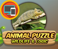 Animal Puzzle