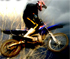 Drunk Rider