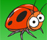 The Lady Bugs